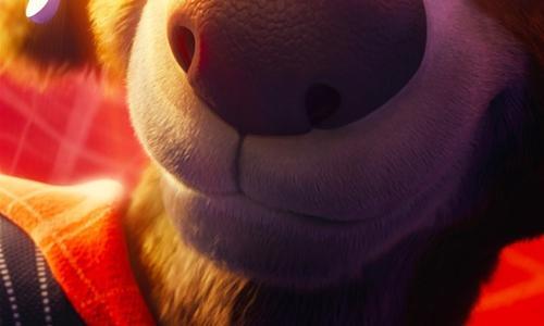 Charlie The Wonderdog poster