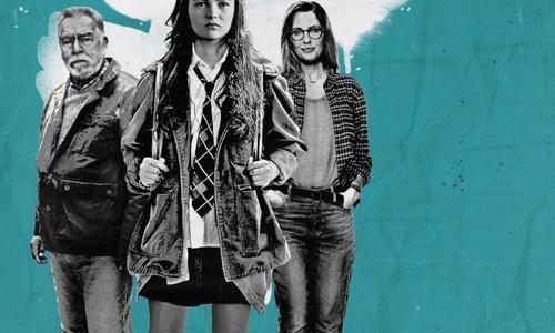 Little Wing poster