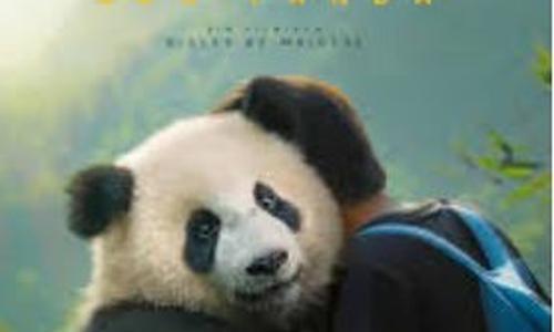 Moon The Panda poster