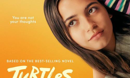 Turtles All the Way Down poster